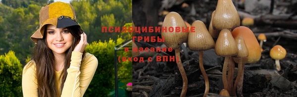 прущая мука Гусиноозёрск