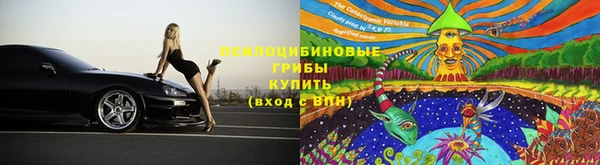 прущая мука Гусиноозёрск