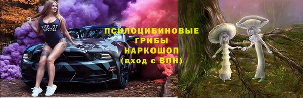 ALPHA PVP Гусев