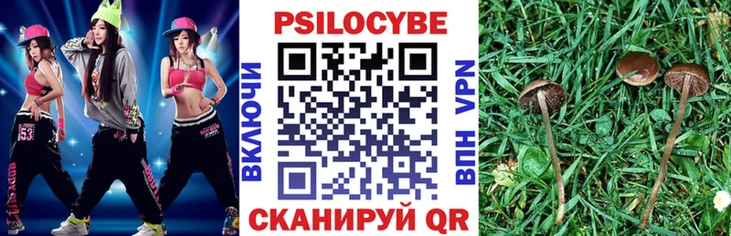 купить   Чусовой  Галлюциногенные грибы мицелий 